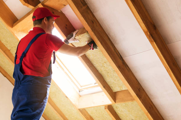 Best Attic Insulation Installation  in Reidsville, NC